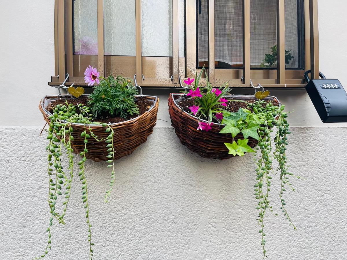 Namba Shinsaibashi 10 Mins Reiko Guest House أوساكا المظهر الخارجي الصورة